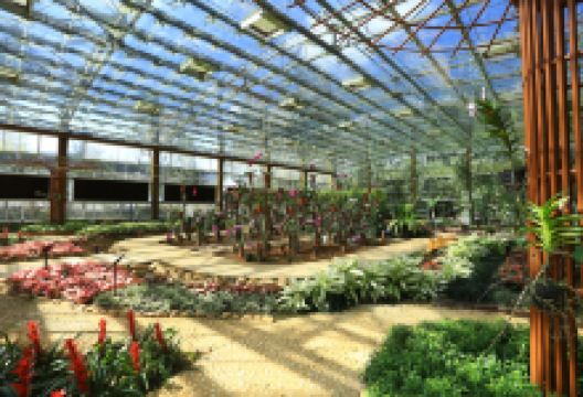 兴隆热带植物园景点图片