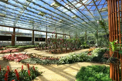 兴隆热带植物园