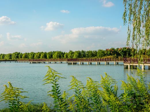 南湖湿地公园