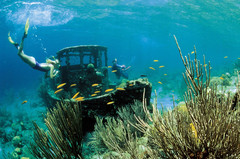 库拉索岛游记图片] 潜水热点 | 换种方式打开库拉索的海底奇境——船潜