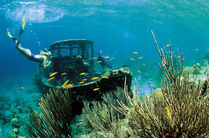 库拉索岛游记图文-潜水热点 | 换种方式打开库拉索的海底奇境——船潜