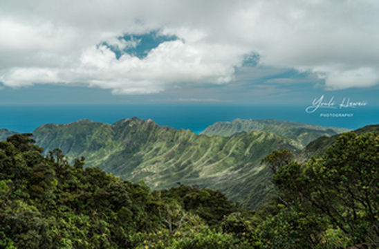 夏威夷旅行｜徒步爬山登顶欧胡岛最高峰卡阿拉山 Mount Kaala