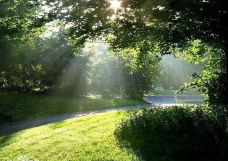 原林园-美人松原始森林-大兴安岭-C-IMAGE