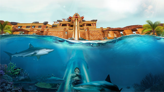 亚特兰蒂斯水世界泡沫之夏