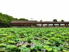 千龙湖生态旅游度假区-长沙-gz当地向导伊妹儿