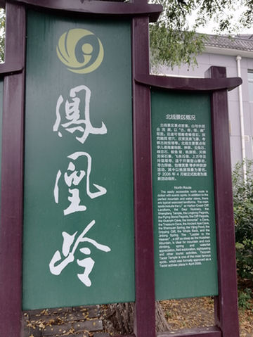 2021年盛夏雨后登凤凰岭