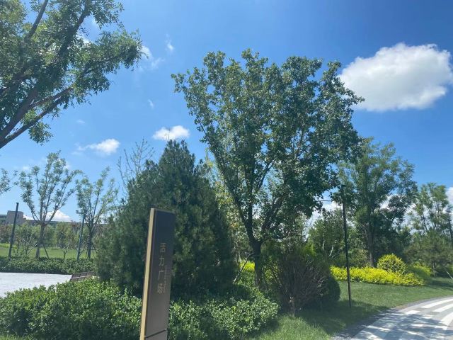 光年城中央公园旅行图片 1