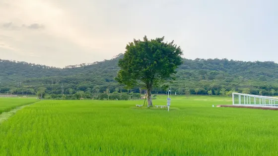 風雲嶺森林公園