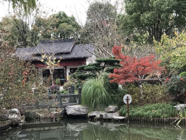 莘庄公园旅行图片 6