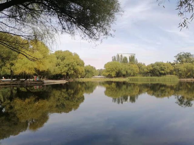 青城公园旅行图片 2