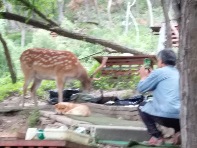白云山山体公园旅行图片 3