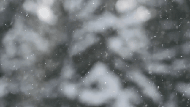 阿斯彭游记图片] 滑雪季已结束？美国阿斯本的最佳粉雪期正当时呢！