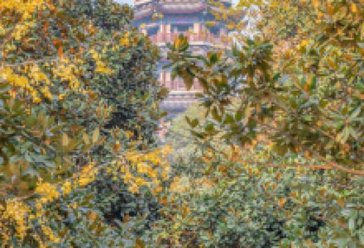孤峰塔景点图片