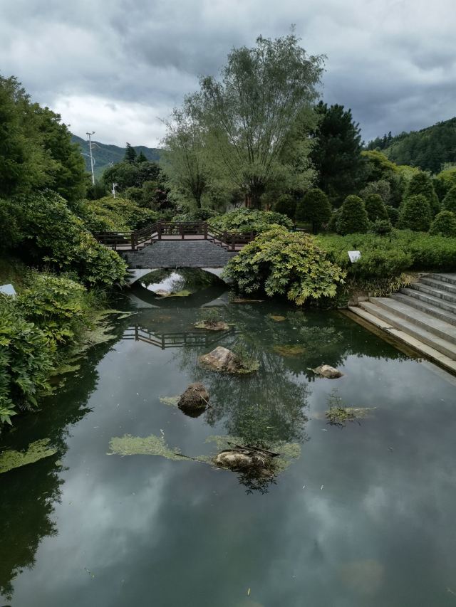 桂东植物园旅行图片 1