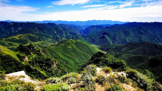 黃草樑
