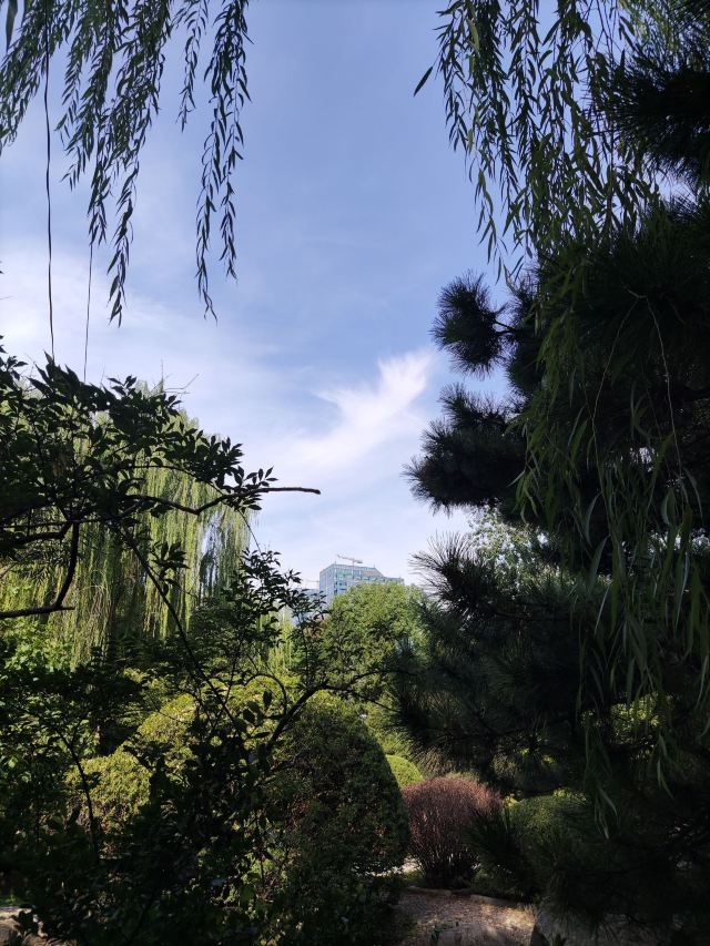双秀公园旅行图片 11