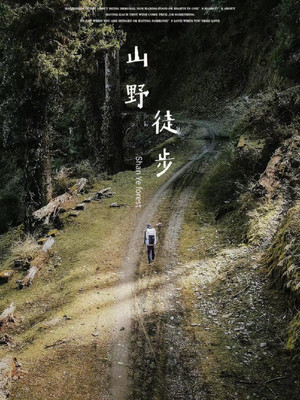 宁波必打卡徒步线路，冬日暖阳，徒步正当时