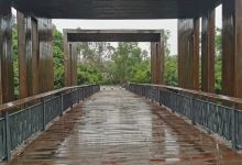 青龙湖湿地公园-观景台景点图片