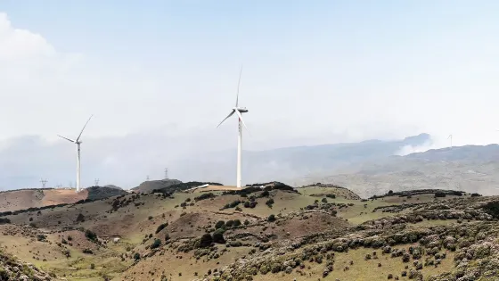 坡上草原景區