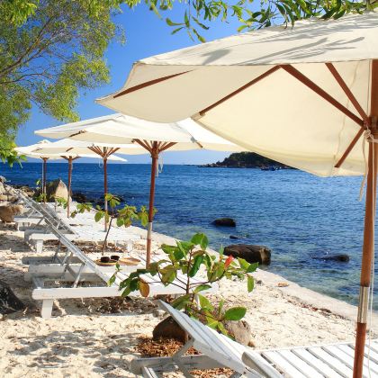 越南胡志明市+芽庄+美奈8日7晚自由行