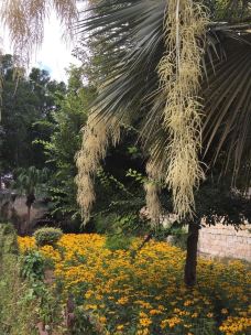 San Anton Gardens-阿塔尔德