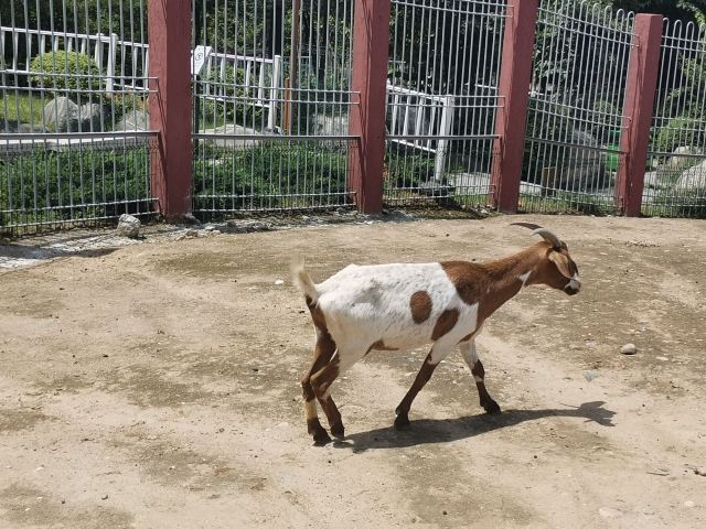 西安世博园旅行图片 5