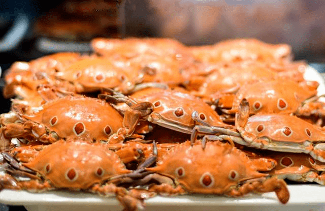 唐家港海鲜大酒楼·婚宴