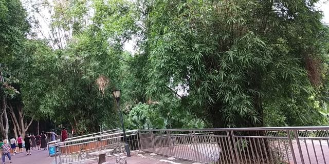 百色人民公园旅行图片 2