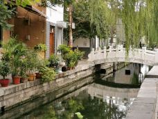 曲水亭街-济南-YoYo_6C0H8Z8P