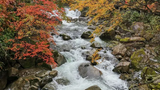 黑熊溝