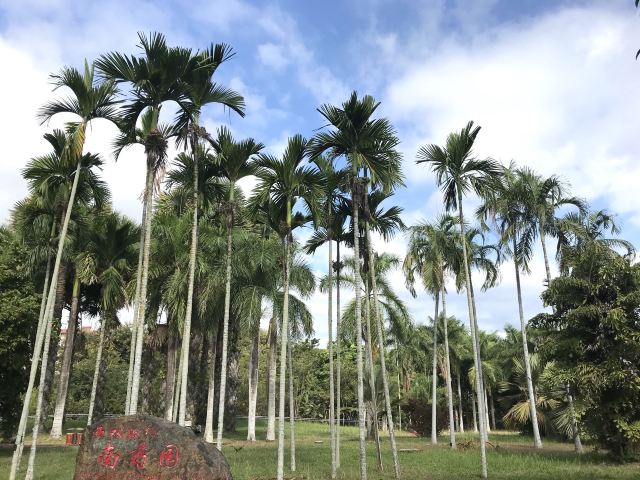 西双版纳南药园旅行图片 1