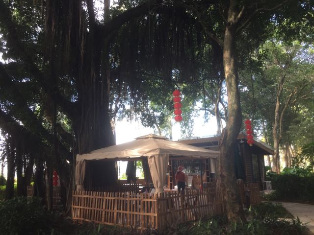 爱情岛旅行图片 3