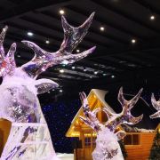 滑雪安华体会- 华体会体育- 华体会体育官网全注意事项你了解多少？