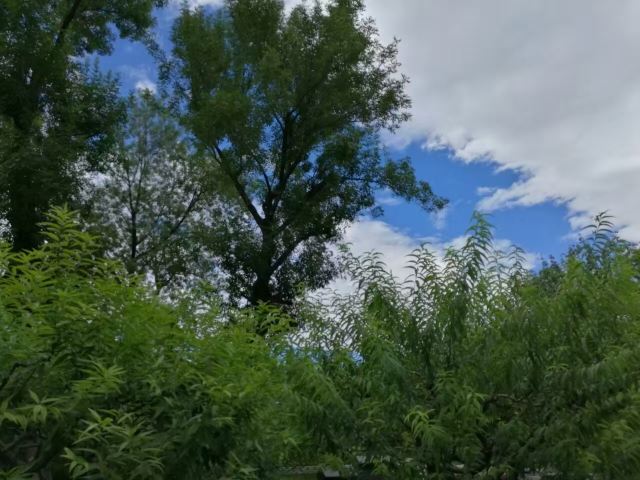 南馆公园旅行图片 6