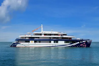 大湾区一号(港珠澳大桥航线)