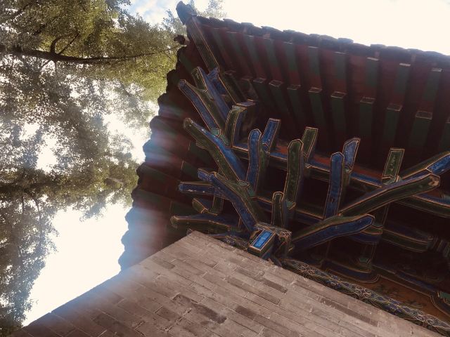 城隍庙·百年白榆树旅行图片 5