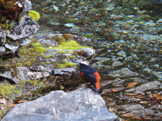 踏春游九寨，拍下如画卷般美景