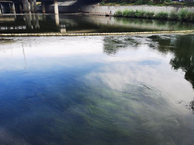 万芳亭公园旅行图片 3