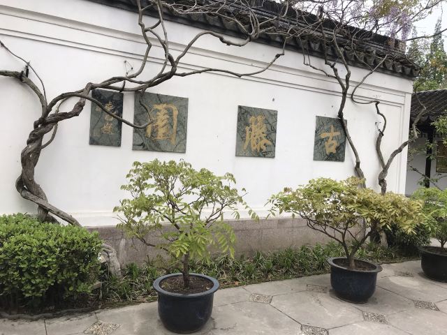 古藤园旅行图片 5