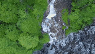 在?又一位局长“出镜”,不进来看一下吗?