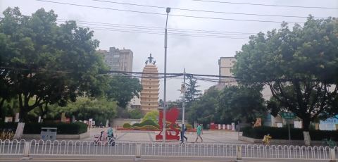东寺塔茶花园旅行图片 1
