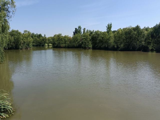 西安浐灞国家湿地公园旅行图片 5