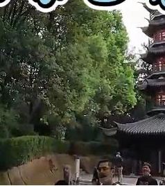 佘山镇游记图文-漫游上海松江佘山视频