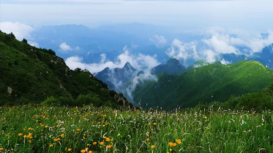 雲花溪谷自然風景區