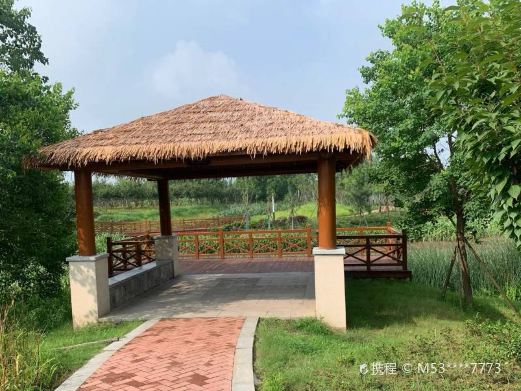 玉湖湿地公园