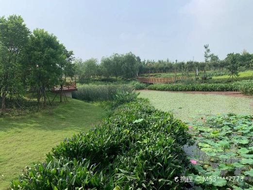 玉湖湿地公园