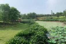 玉湖湿地公园-遂平-M53****7773