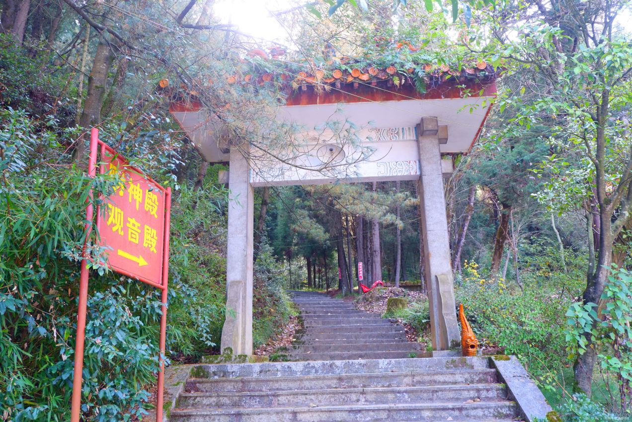 Gallery 2