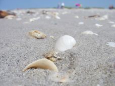 Bowman's Beach-萨尼贝尔