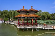 中国国花园-洛阳